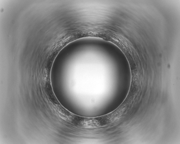 X0000088170752200705151148