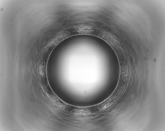 X0000088170755200705151148