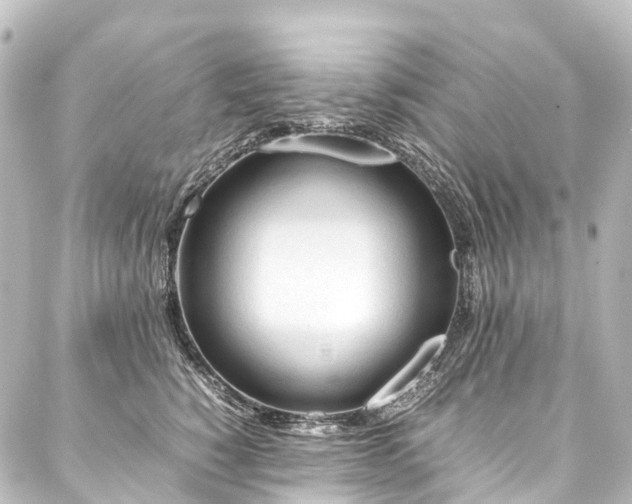 X0000088170760200705151148