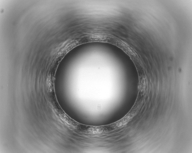 X0000088170764200705151148