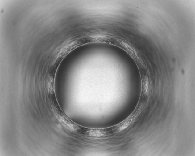 X0000088170766200705151148