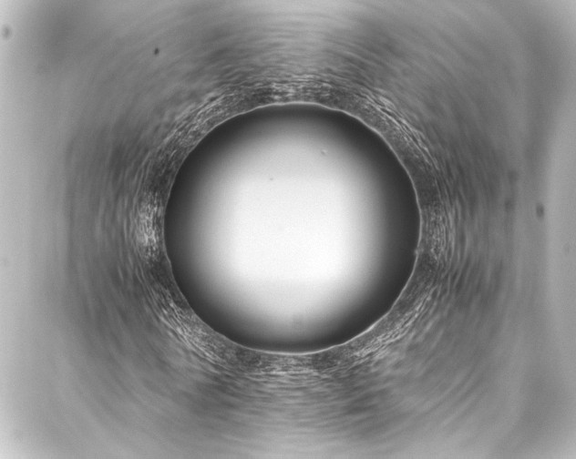 X0000088170770200705151147