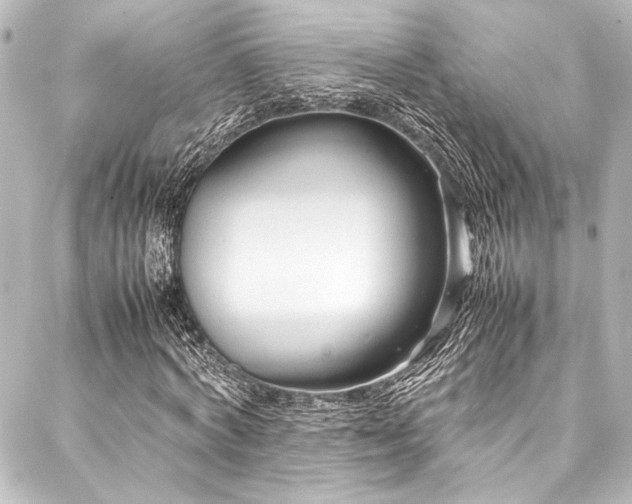 X0000088170772200705151147