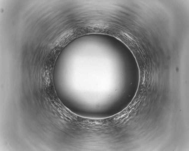 X0000088170774200705151147