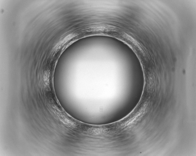 X0000088170778200705151147