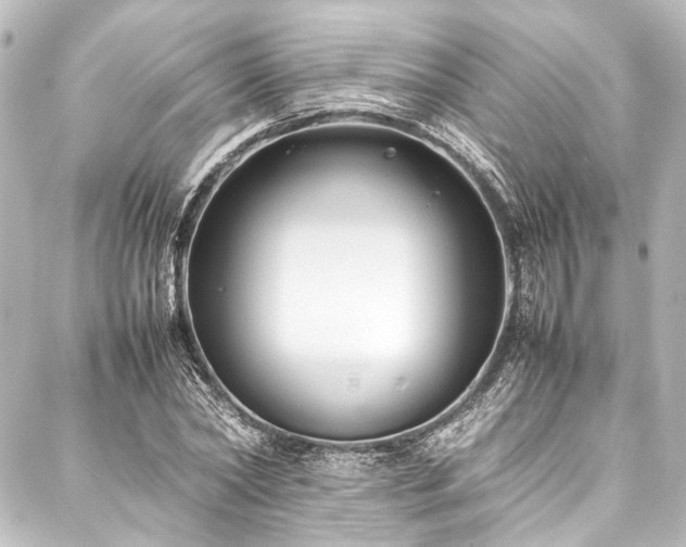 X0000088170782200705151147