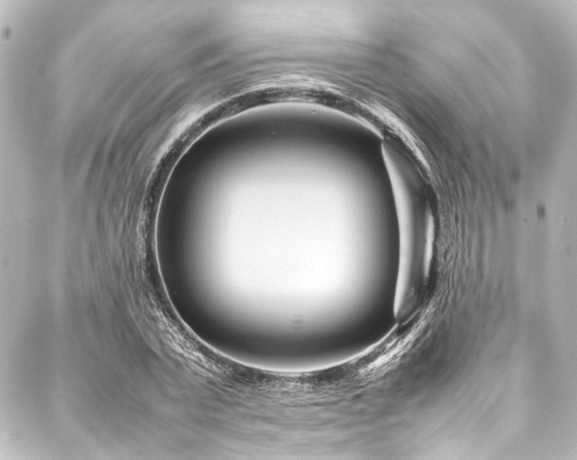 X0000088170783200705151147