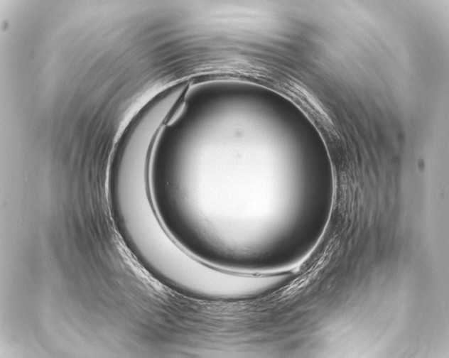 X0000088170788200705151147