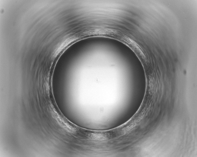 X0000088170794200705151147
