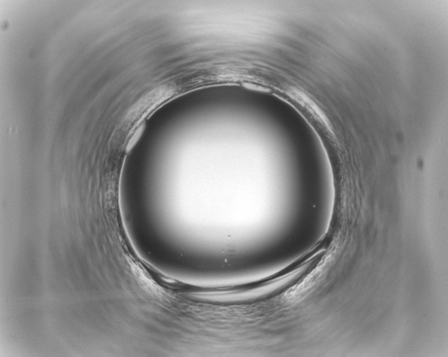 X0000088170801200705151147