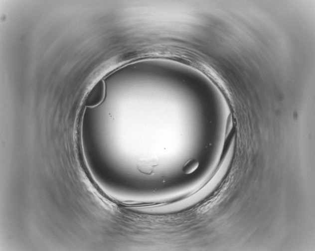 X0000088170803200705151147