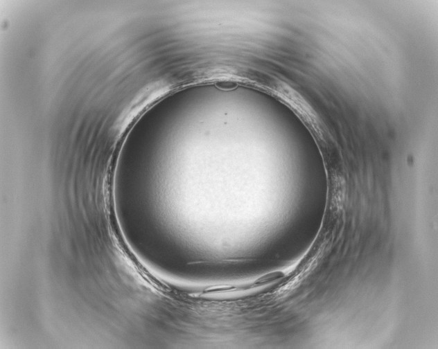 X0000088170806200705151147
