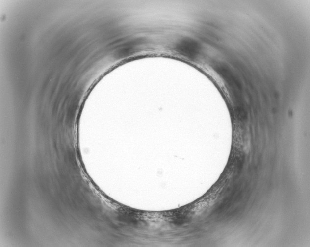 X0000088170807200705151147