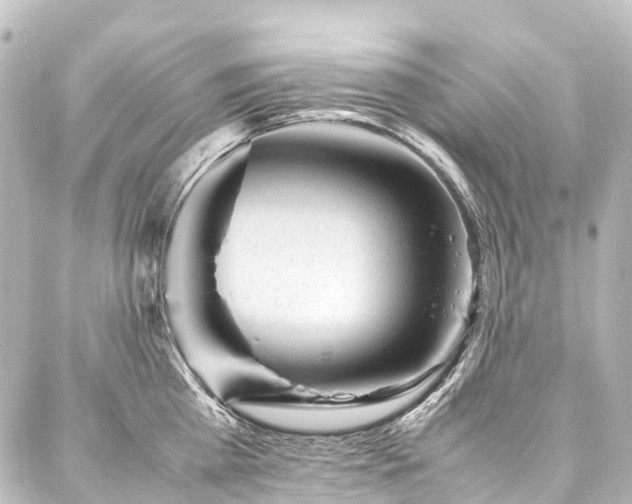 X0000088170809200705151147