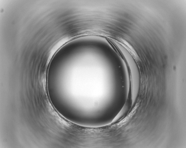 X0000088170812200705151147