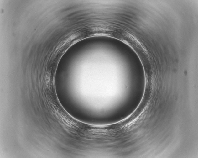 X0000088170825200705151146