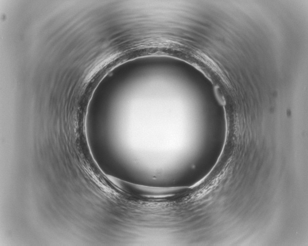 X0000088170826200705151146