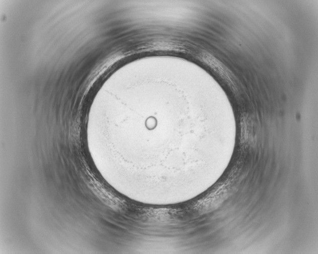 X0000088170828200705151146