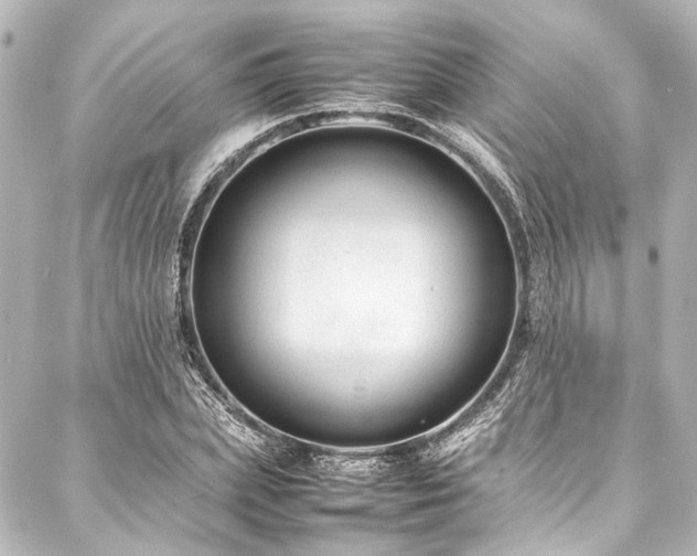 X0000088170831200705151146