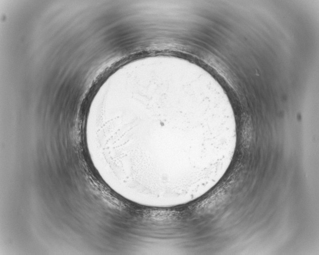 X0000088170832200705151146