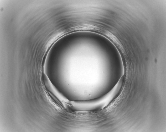 X0000088170850200705151146