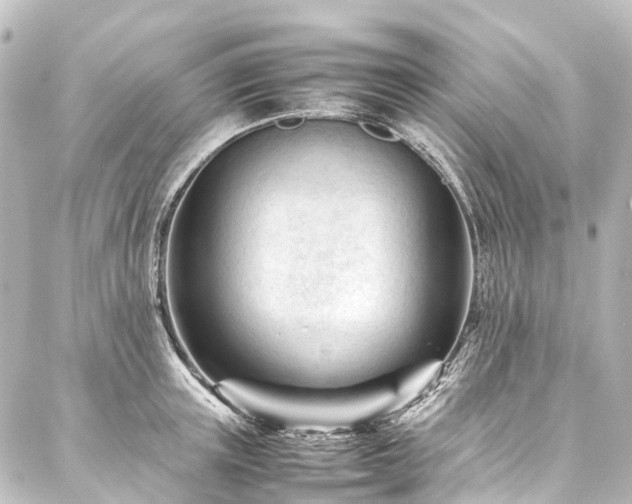 X0000088170851200705151146