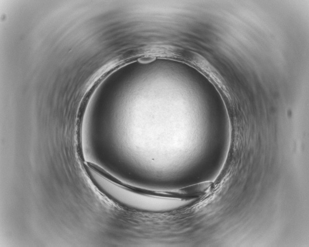 X0000088170853200705151146