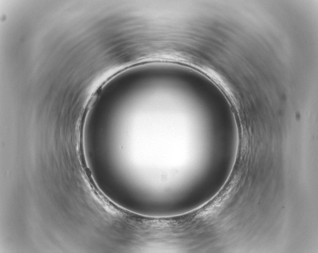 X0000088170862200705151147