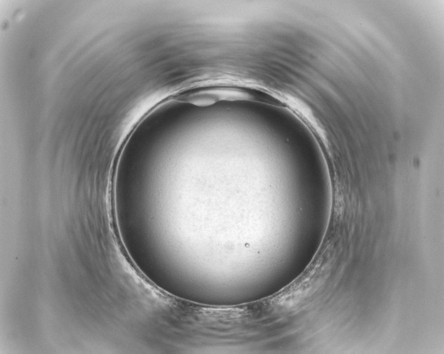 X0000088170863200705151147