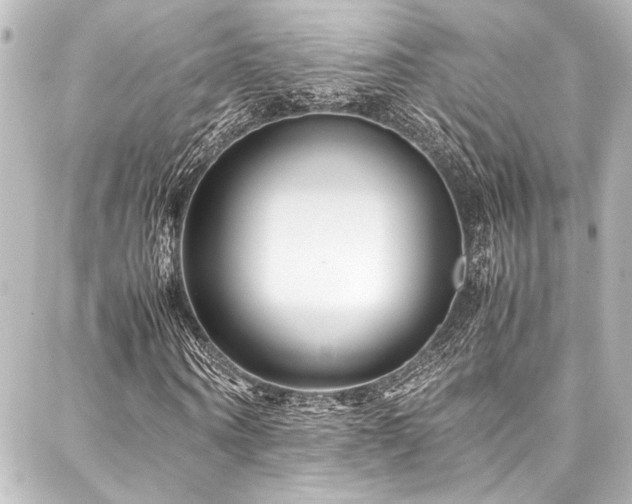 X0000088170866200705151146