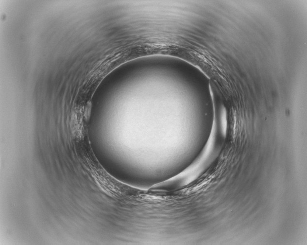 X0000088170868200705151146