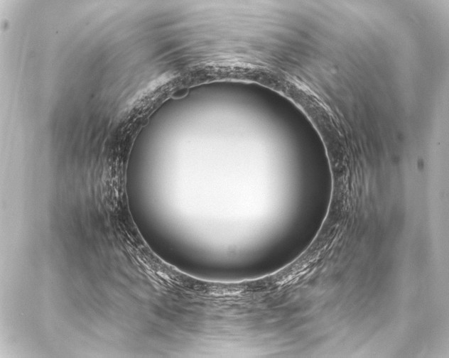 X0000088170870200705151146