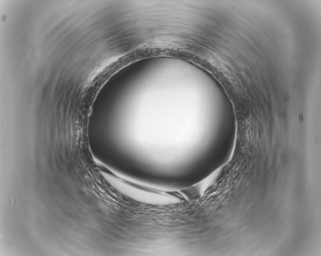 X0000088170872200705151146