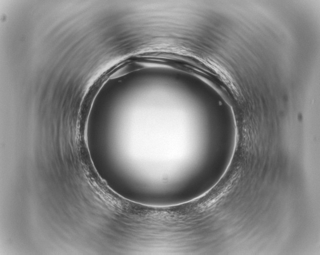 X0000088170880200705151146