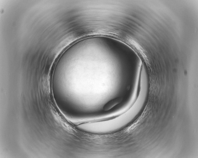 X0000088170892200705151145