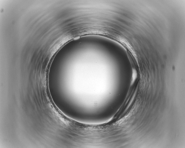 X0000088170898200705151145