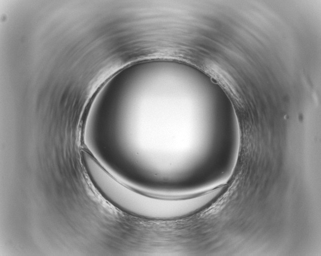 X0000088170900200705151145