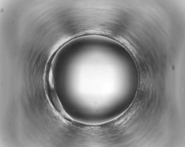 X0000088170902200705151145
