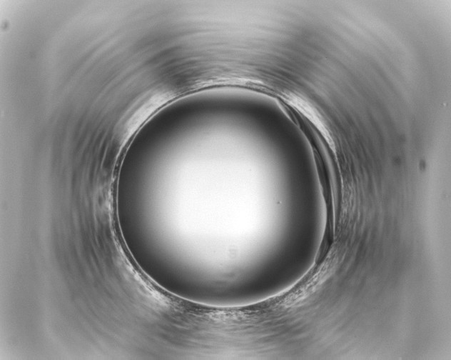 X0000088170906200705151145