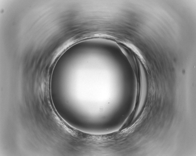 X0000088170910200705151145