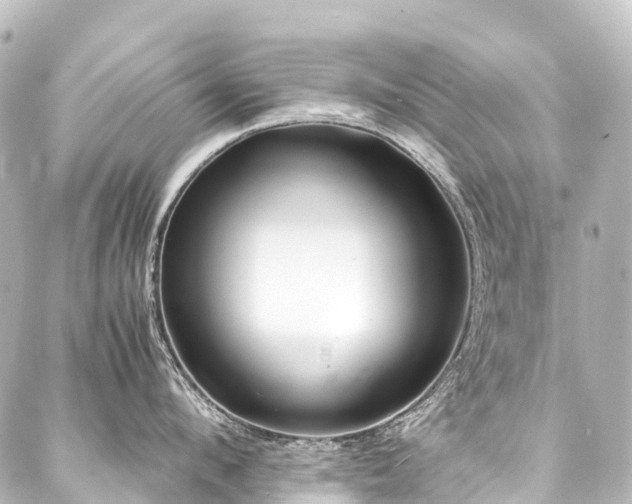 X0000088170912200705151145