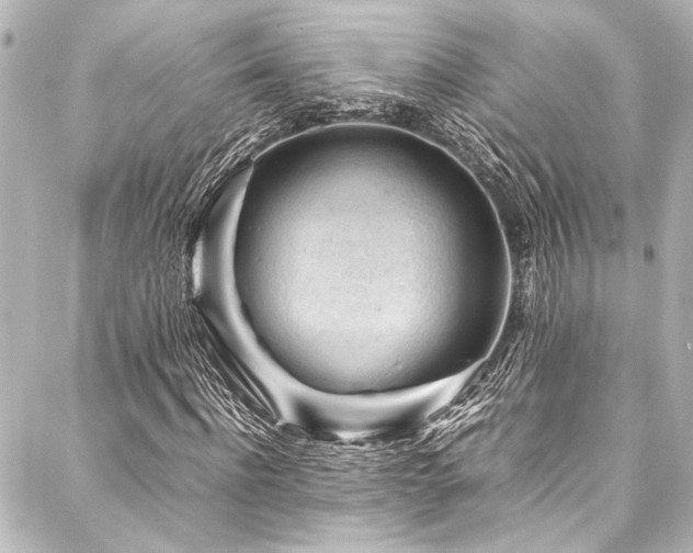 X0000088170916200705151144