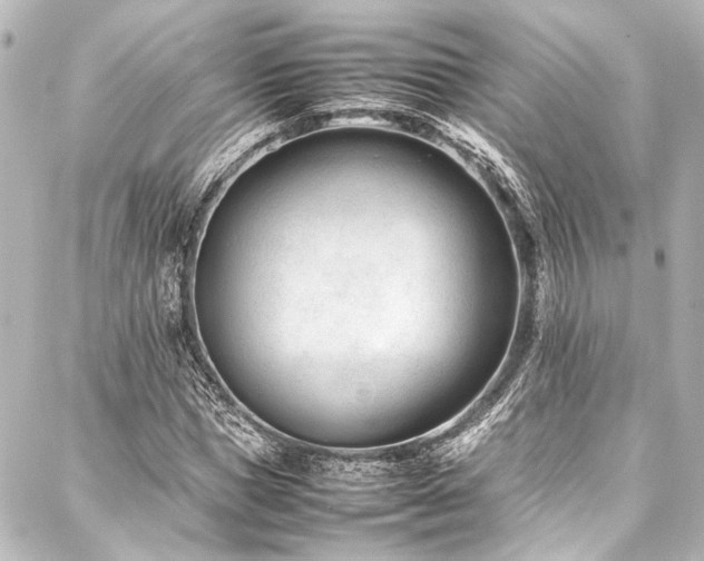 X0000088170921200705151144