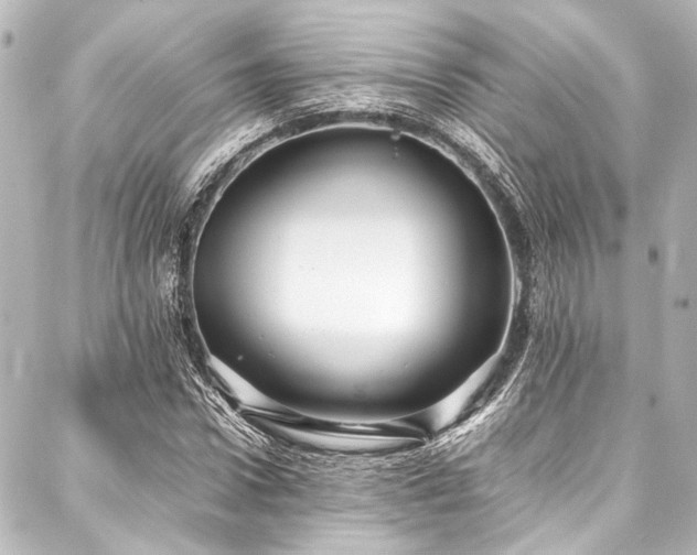 X0000088170922200705151144