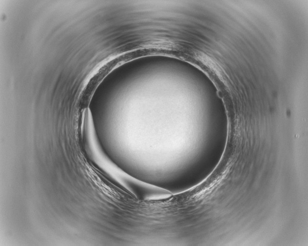 X0000088170923200705151144
