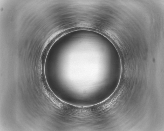 X0000088170931200705151145