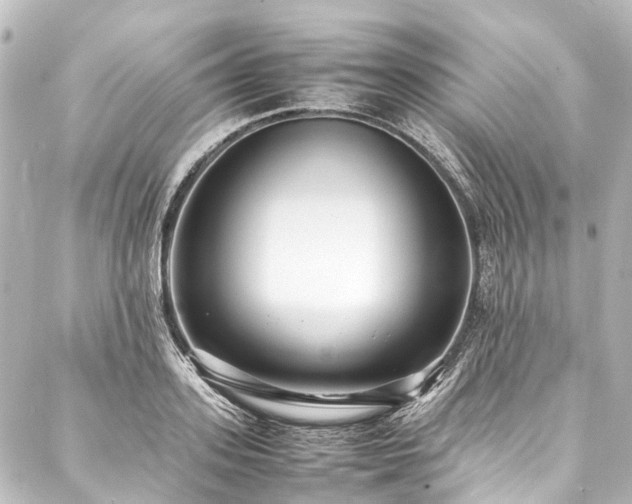 X0000088170939200705151145