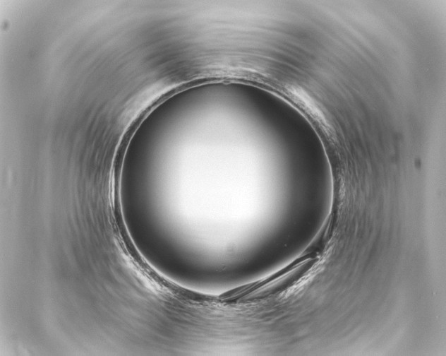 X0000088170940200705151145
