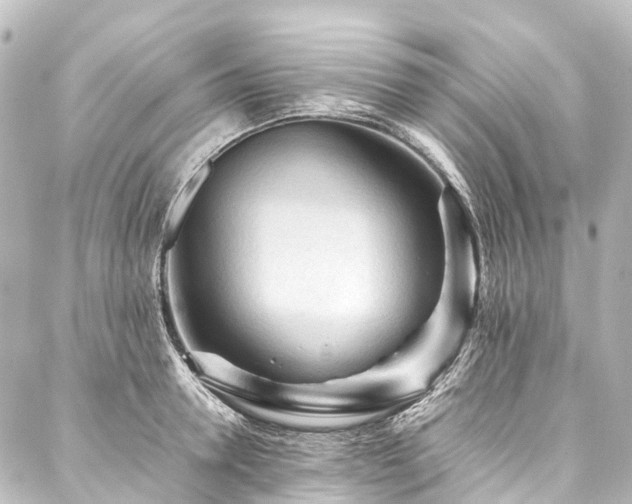 X0000088170946200705151145