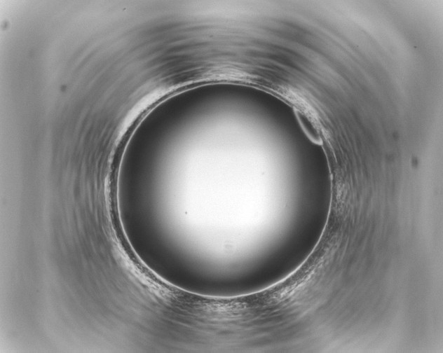 X0000088170947200705151145